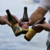 Anstossen mit Cider und Bier Flaschen